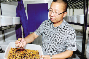 錢(qián)衛(wèi)新用現(xiàn)代科技發(fā)展傳統(tǒng)養(yǎng)蠶業(yè)