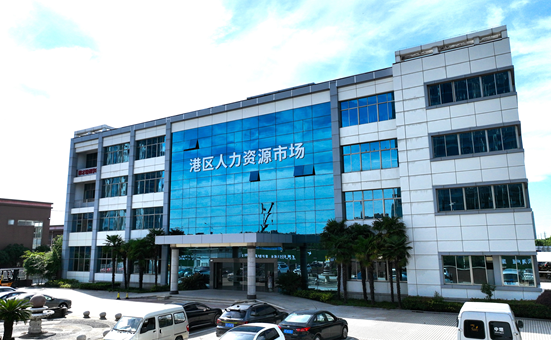 港區(qū)人力資源市場揭牌運(yùn)作，迎來首場招聘會